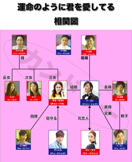 運命のように君を愛している相関図-1.jpg